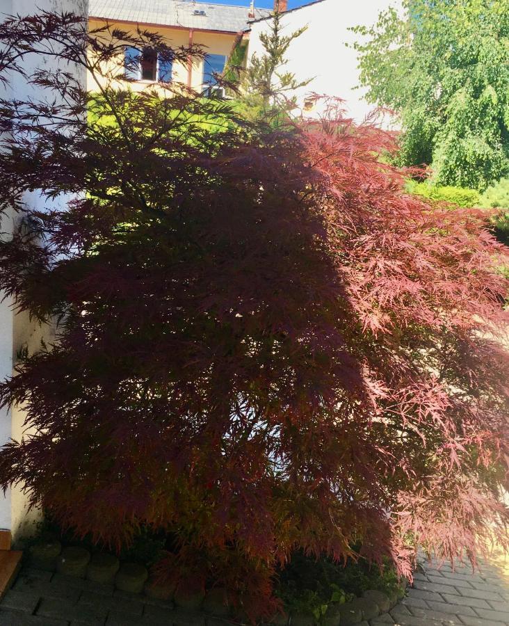 Ferienwohnung Klidne A Utulne Ubytovani Brno Stary Liskovec Exterior foto